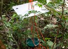 Flight Interception Traps & ButterflyTraps